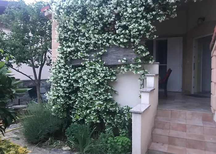 Apartament Bela