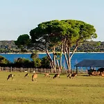 Apartmán Bela *